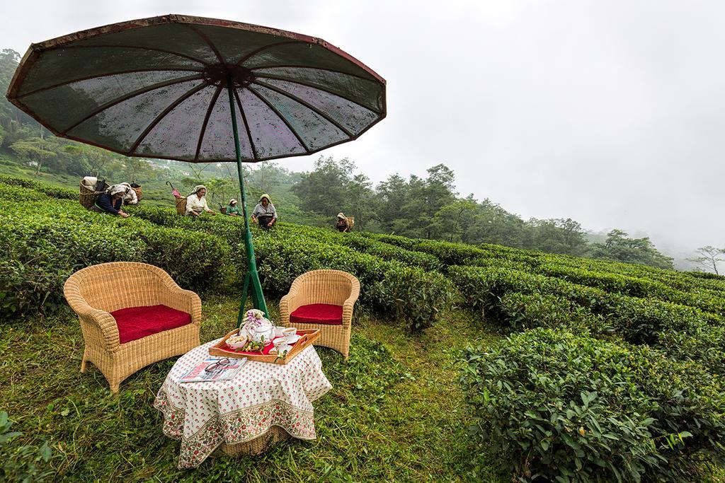 Ging Tea House Guest House Darjeeling  Exterior foto