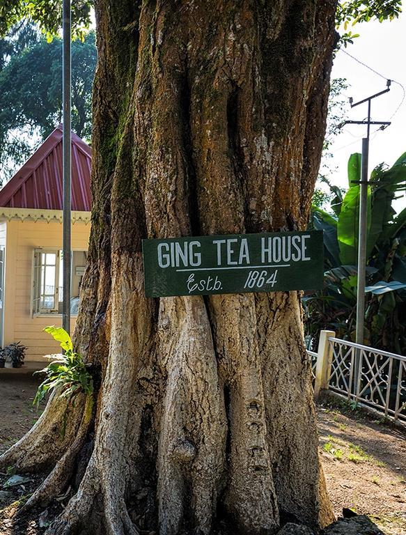 Ging Tea House Guest House Darjeeling  Exterior foto