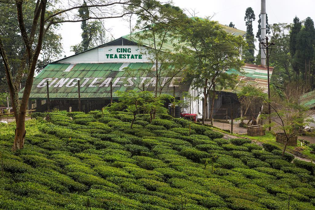 Ging Tea House Guest House Darjeeling  Exterior foto